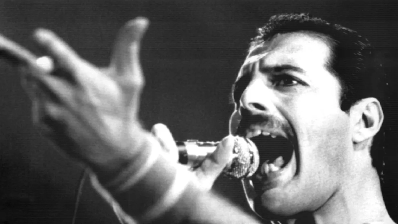 Freddie Mercury Mikrofon Gestik singen rocksänger rockmusiker .Kultur .Personen .Musik SINGING GESTURE MUSIC People persons culture Arts_Culture_and_Entertainment
Kultur	ACE HORIZONTAL 