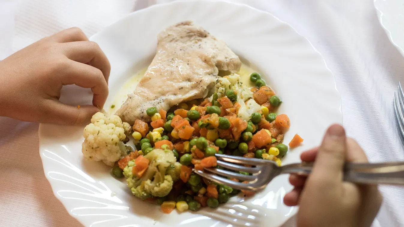 iskolai menza, gyeremek étkeztetés, egészség, menü, étel, zöldség, 2015 