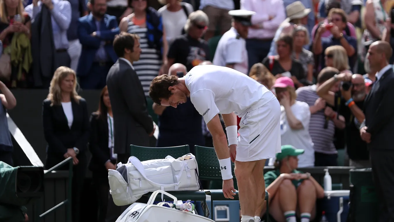 Andy Murray, Wimbledon 