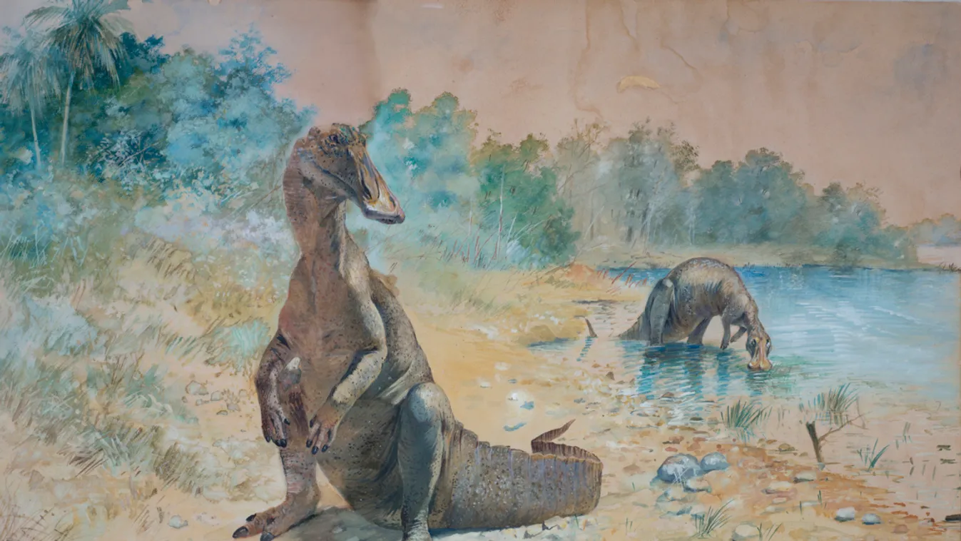 hadrosauridák 