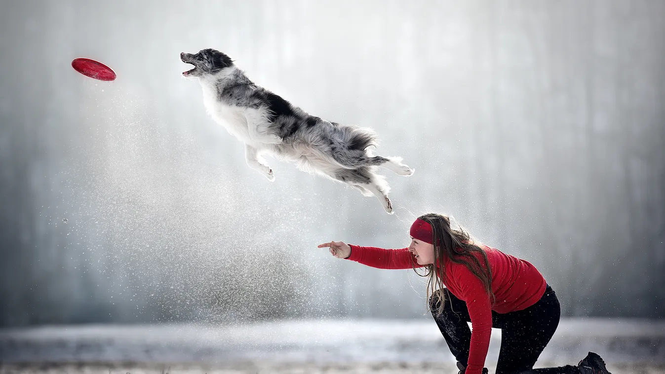 Dog Photography Awards, Kjara Kocbek, 2023 