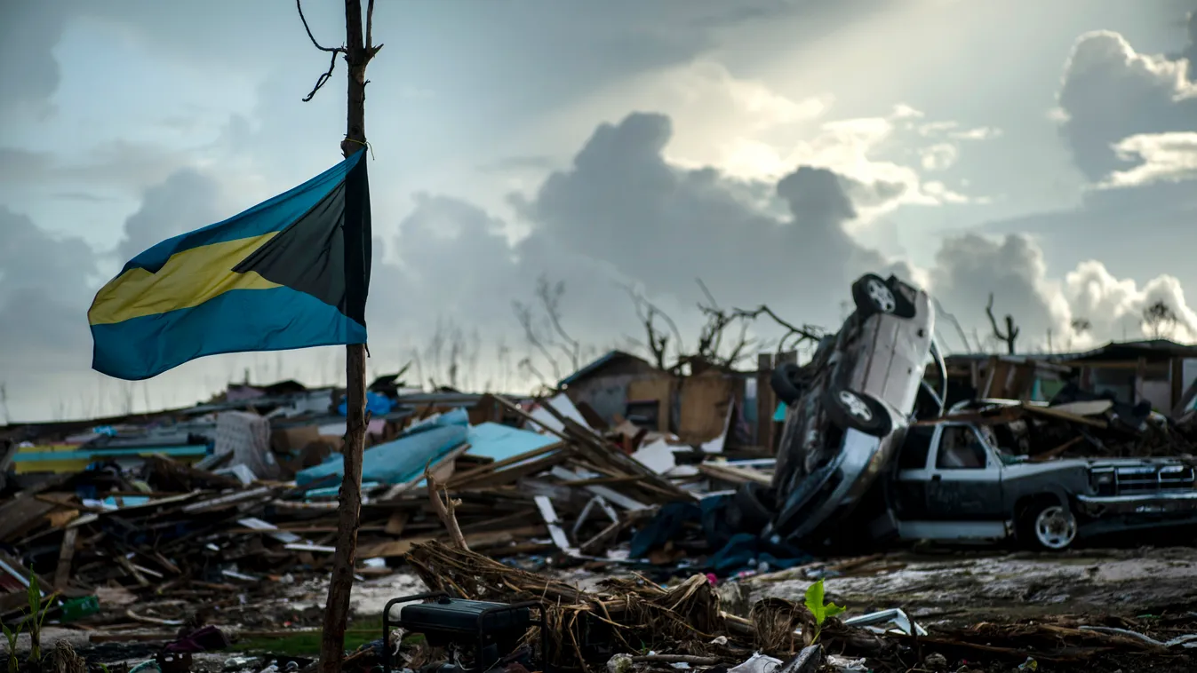Abaco-sziget, 2019. szeptember 18.
Megtépázott facsemetére kötött bahamai zászló a Bahama-szigetek Great Abaco-szigetén 2019. szeptember 16-án, két héttel a Dorian hurrikán elvonulása után. A trópusi vihar a Bahama-szigetek 29 lakott szigetének csaknem mi