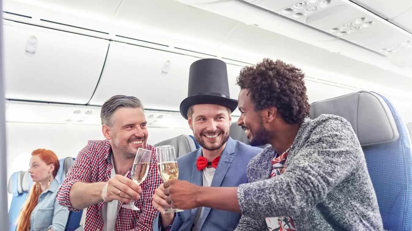 Young friends toasting glasses 25-29 years 35-39 AFRICAN american ethnicity airliner airplane ALCOHOL arms outstretched bachelor party beginnings black bonding caucasian COMMEMORATION celebratory toast CHAMPAGNE FLUTE cheers commercial costume DRINKING fa