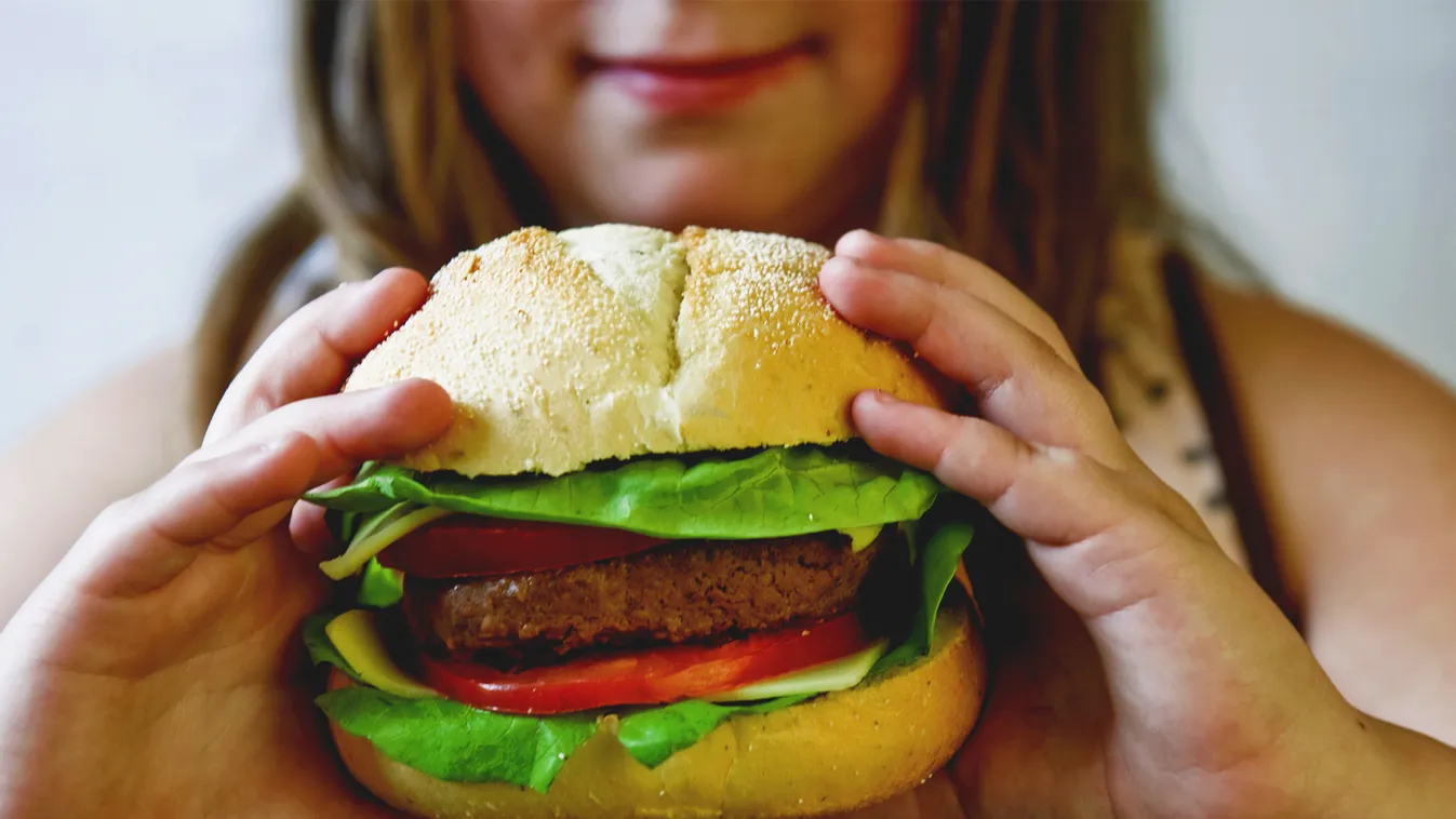 Ez zsír! Bélbaktériumok okozzák a gyerekek elhízását?  elhízás hamburger túlsúly 