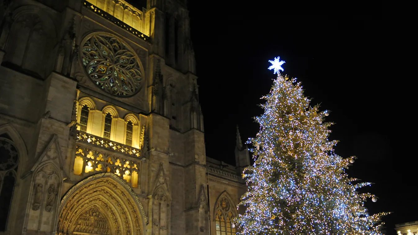 BORDEAUX, FRANCE - NOV 25, 2017: Saint Andre cathedral by night with a christmas tree in Bordeaux, Aquitaine, France

J 