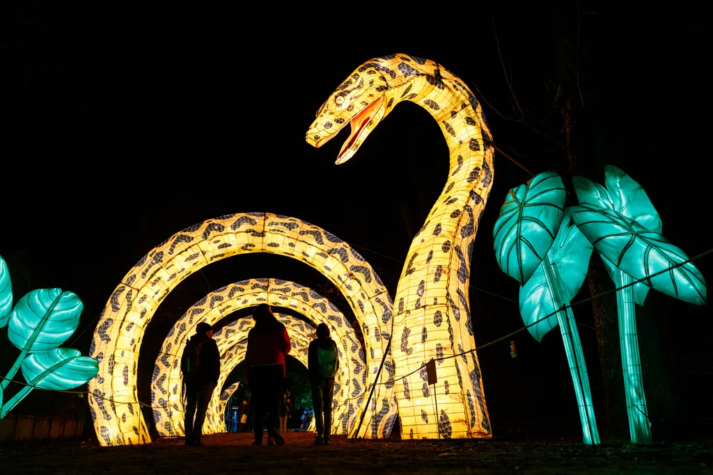 Jardin, des, Plantes, Párizs, Franciaország, fényfestés, 2023.11.17., 