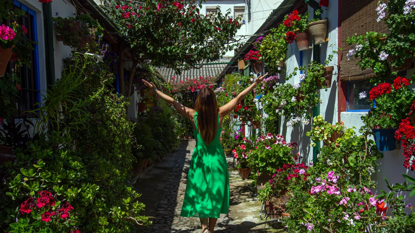 Cordoba Patios Festival Córdoba udavarfesztivál virágok 