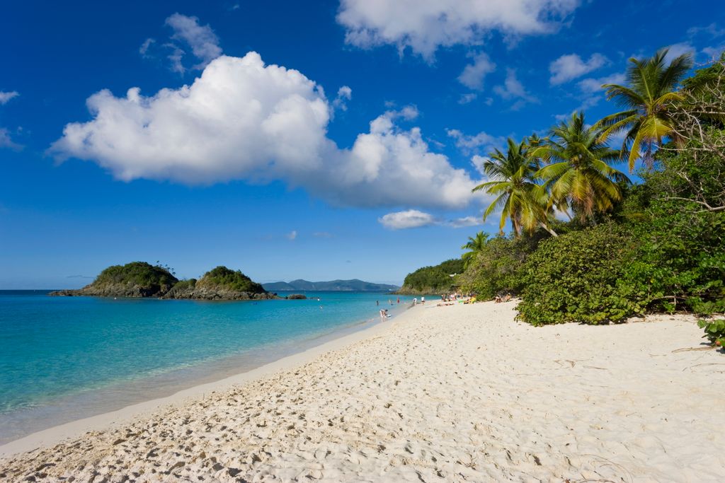 The world famous beach at Trunk Bay, St. John, U.S. Virgin Islands, West Indies, Caribbean, Central America ADULT BAY BEACH beauty in nature caribbean central america color image copy space day distant ENVIRONMENT HORIZONTAL ISLAND large group of people l