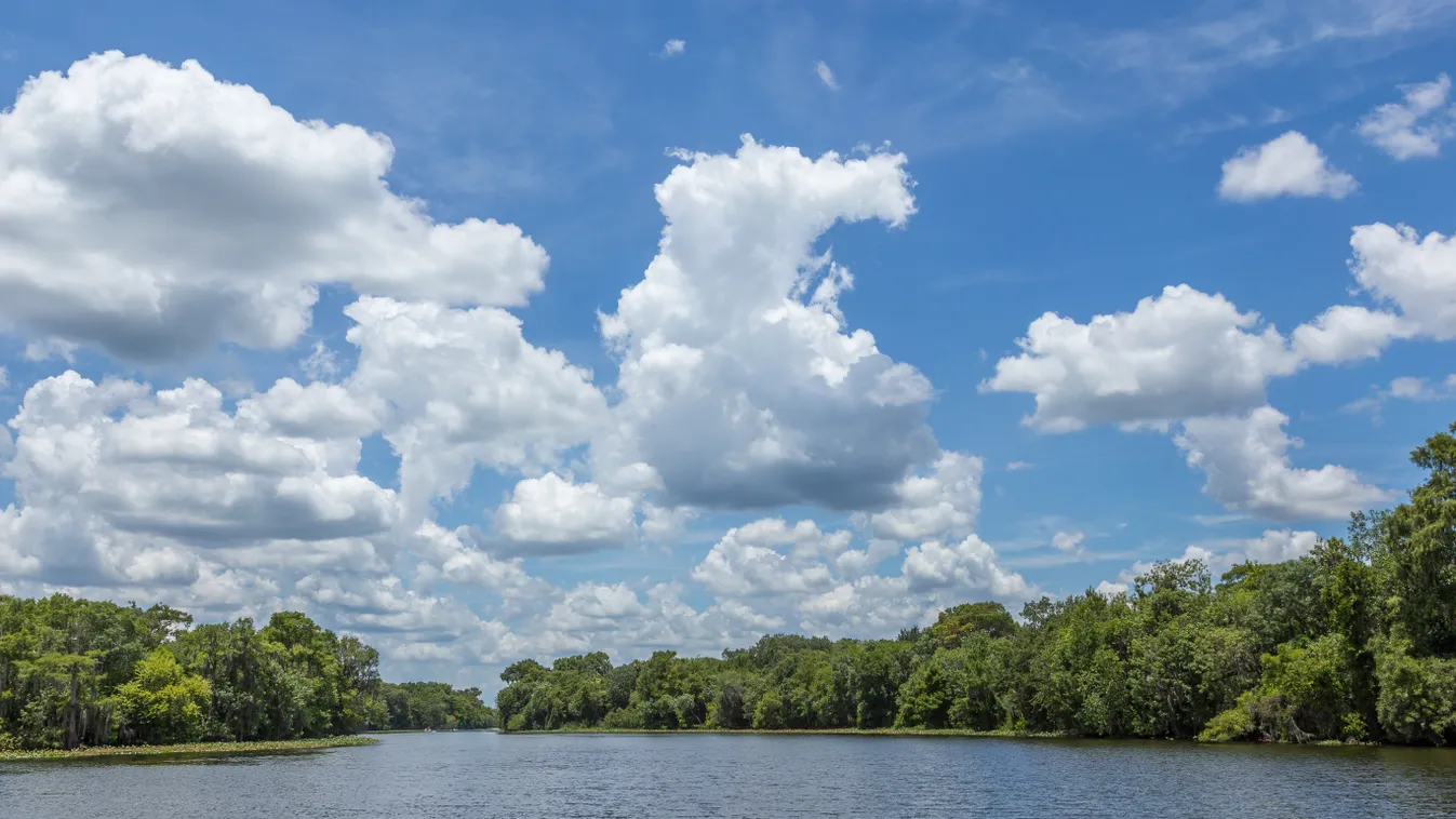 St. Johns River, folyó, Florida, illusztráció 