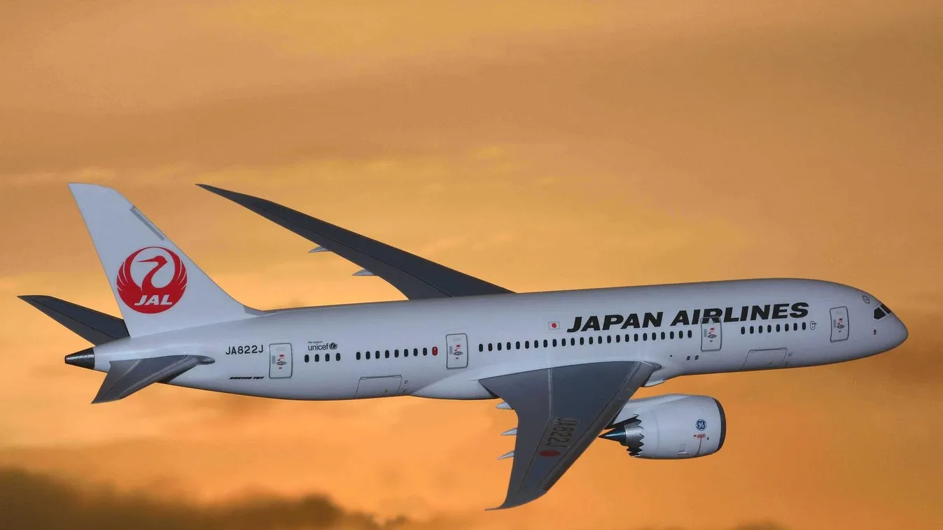 Japan Airlines 