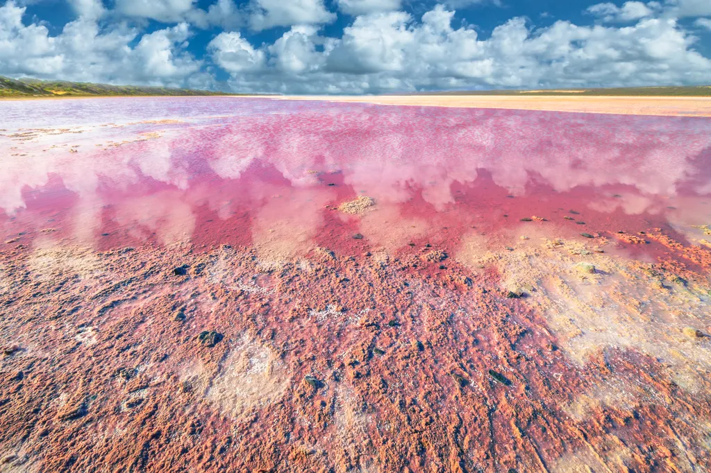 Hutt Lagoon, rózsaszín lagúna, Ausztrália 
