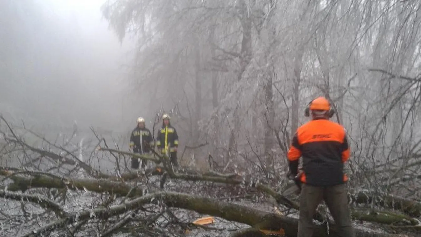 veszély, ónos eső, budai hegyek 