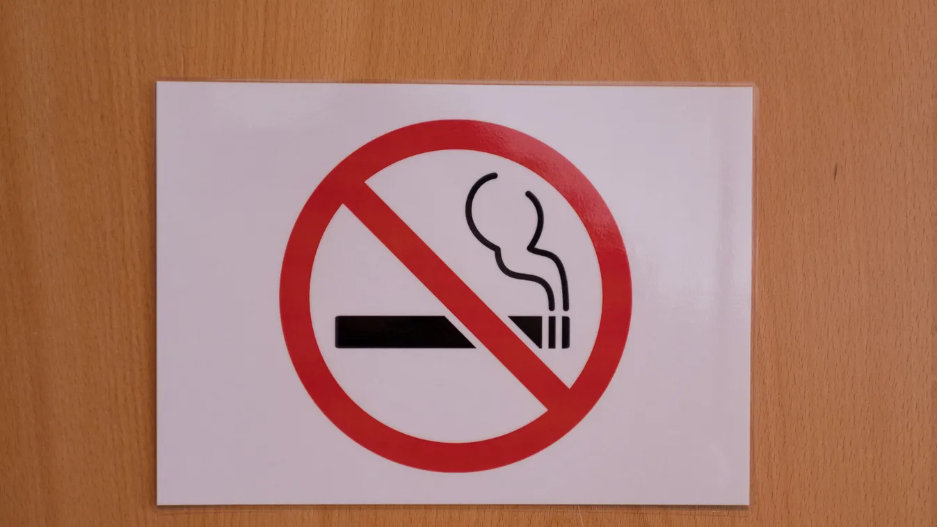 FRANCE - ILLUSTRATION - CENTRE DES CONGRES PIERRE BAUDIS illustration fumer interdiction interdiction de fumer lieu sans tabac affichette affiche pancarte to smoke prohibition No Smoking tobacco-free place attach Horizontal PLACARD BOARD 