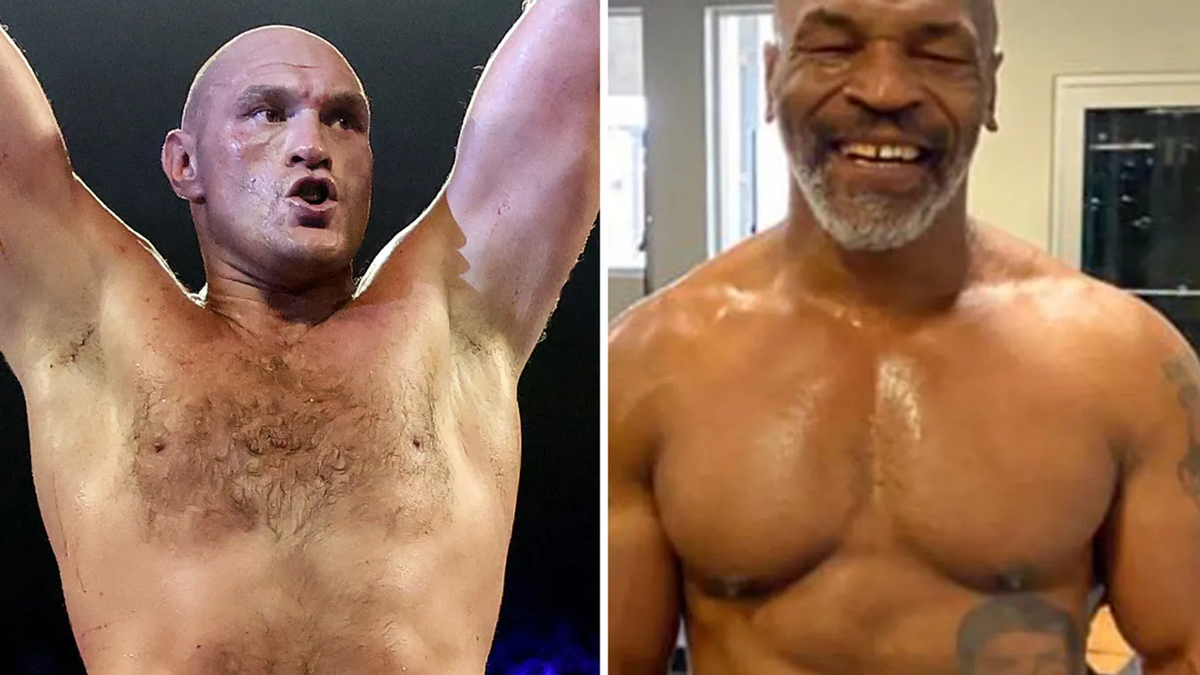 Mike Tyson Tyson Fury 