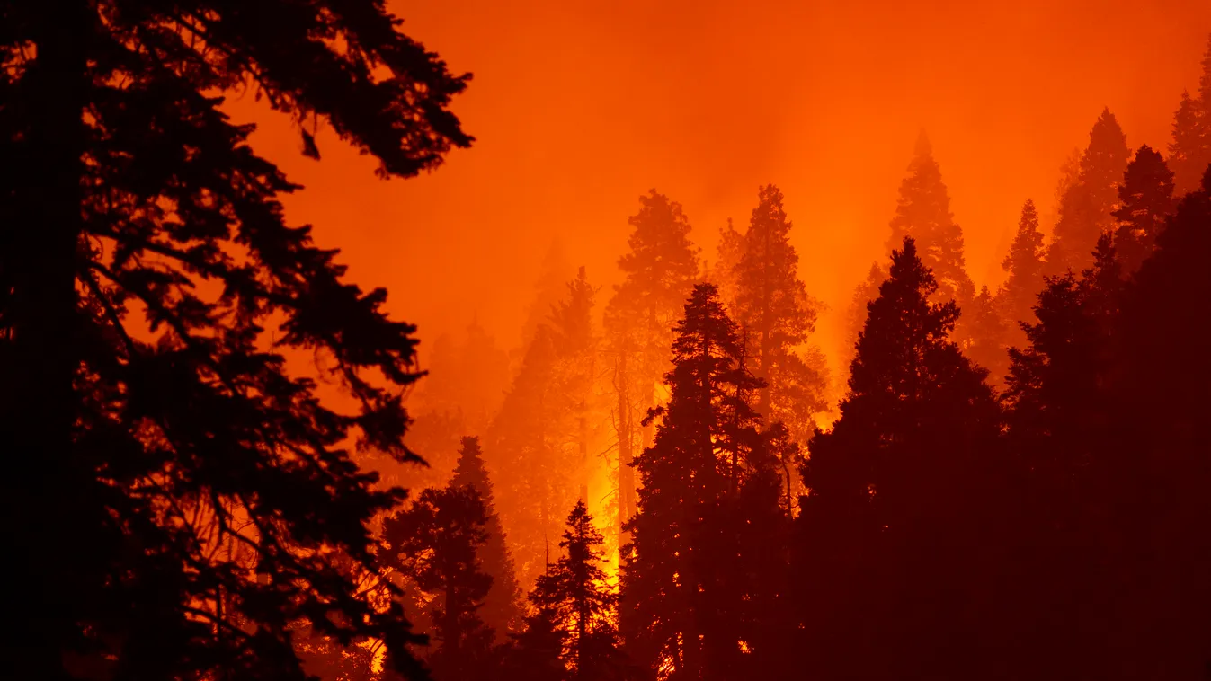 mamutfenyű tűz California Color Image accidents and disasters sequoia national park weather climate change sqf complex fire castle fire national forests sierra nevada mountains angeles national forest sequoia national forest sequ 