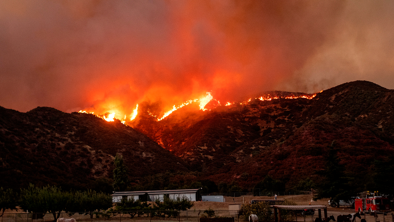 fire TOPSHOTS Horizontal FIRES AND FIRE-FIGHTING FOREST FIRE NATURAL DISASTERS Horses graze as flames from the Apple fire skirt a ridge in a residential area of Banning, California on August 1, 2020. - 4,125 acres have burn in Cherry Valley, about 2,000 p
