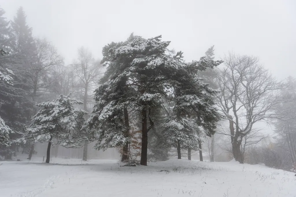 Gyönyörű képeken a behavazott Mátra, hó, havazás, időjárás, galéria, 2023 