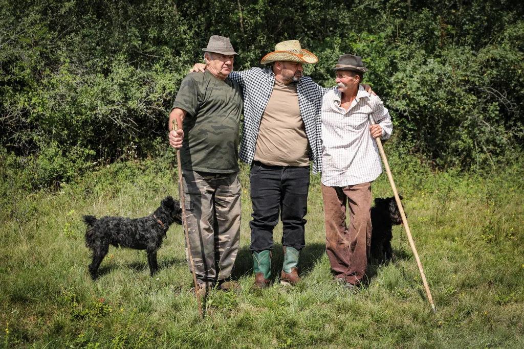 Farm VIP forgatás 2020 augusztus 19-én 