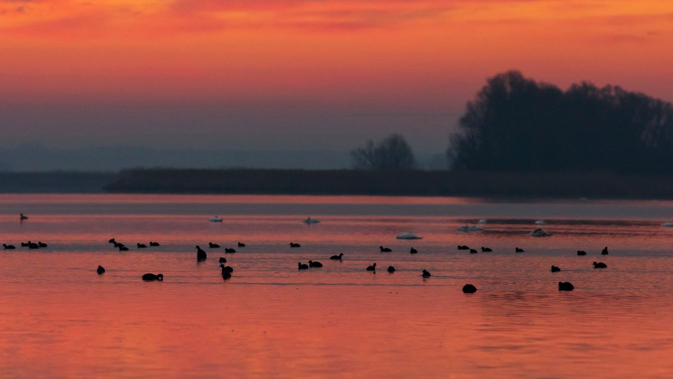 Zalavár, Kis-Balaton, természet, tó, vízpart, napfelkelte, Magyarország 
