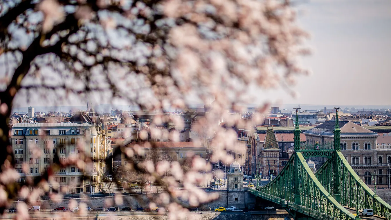tavasz, virágzás, időjárás, napsütés, Budapest 