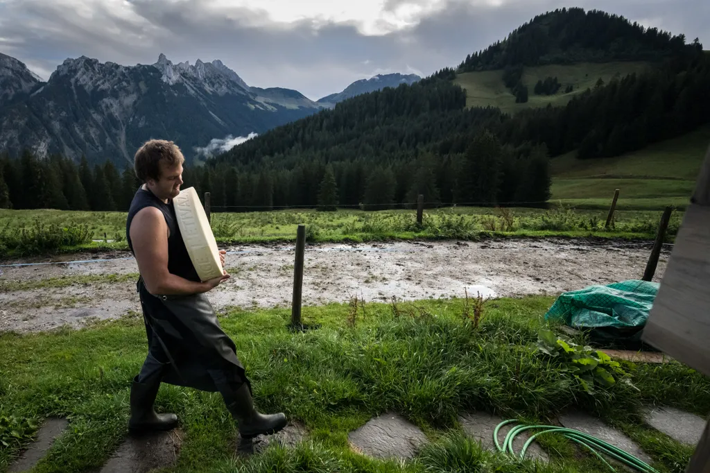 Kétezer méteres magasságban készül ez a különleges svájci sajt, galéria, 2023 