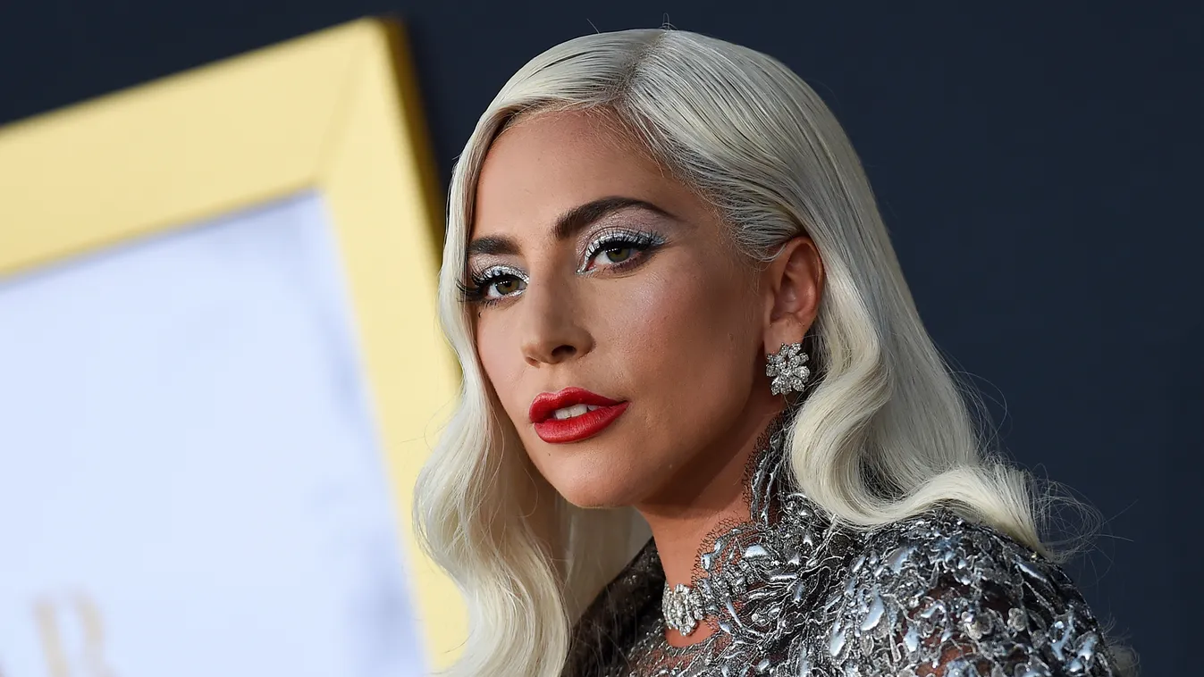 A legjobban kereső zenészek 2018, Lady Gaga 