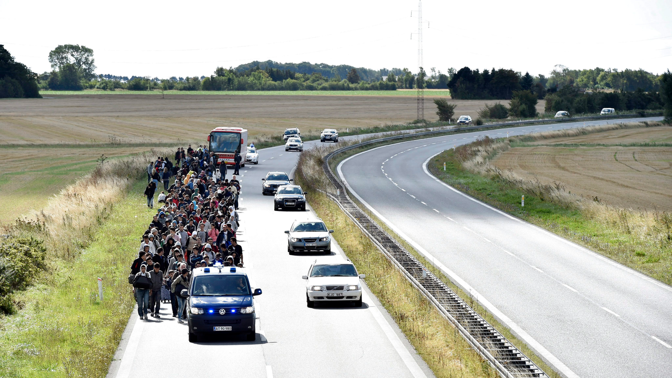 Illegális bevándorlás, bevándorló, menekült, migráns, Dánia, illusztráció, 2015 