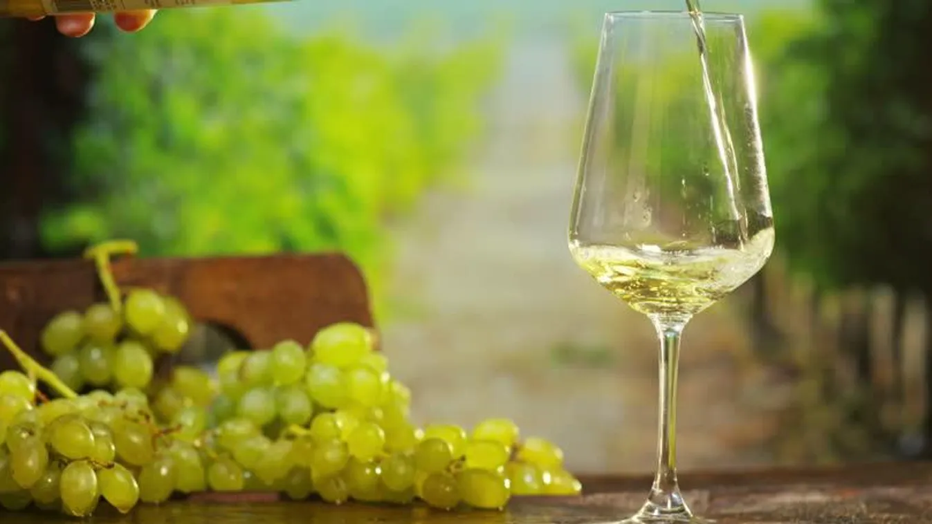 bor borospohár szőlő 