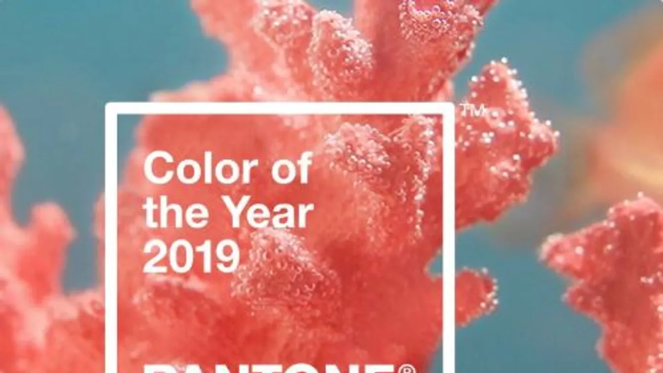 korall szín 