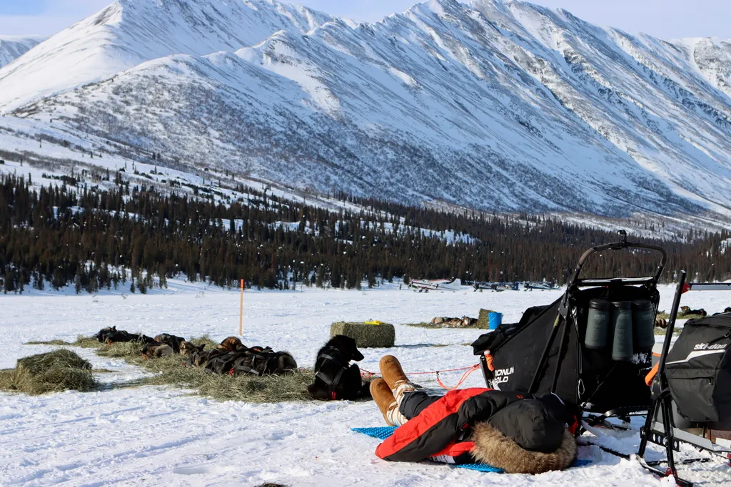 Alaszkai-hegység, 2021. március 9.
A 2019-es bajnok Pete Kaiser a kabátja alatt szundít pihenő kutyái mellett az Iditarod amerikai kutyaszánverseny egyik ellenőrző pontján, az Alaszkai-hegység Rainy-hágóján 2021. március 8-án.
MTI/AP/Anchorage Daily News 