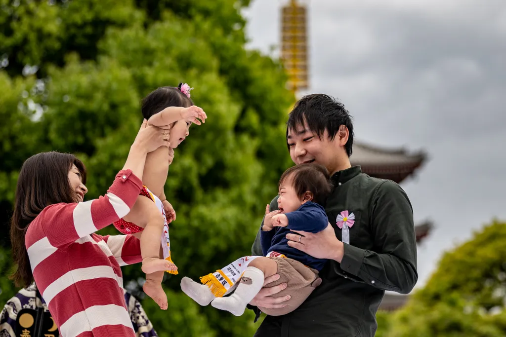 Japán, síró babák sumo, fesztivál, sumo, babák, Tokió, 