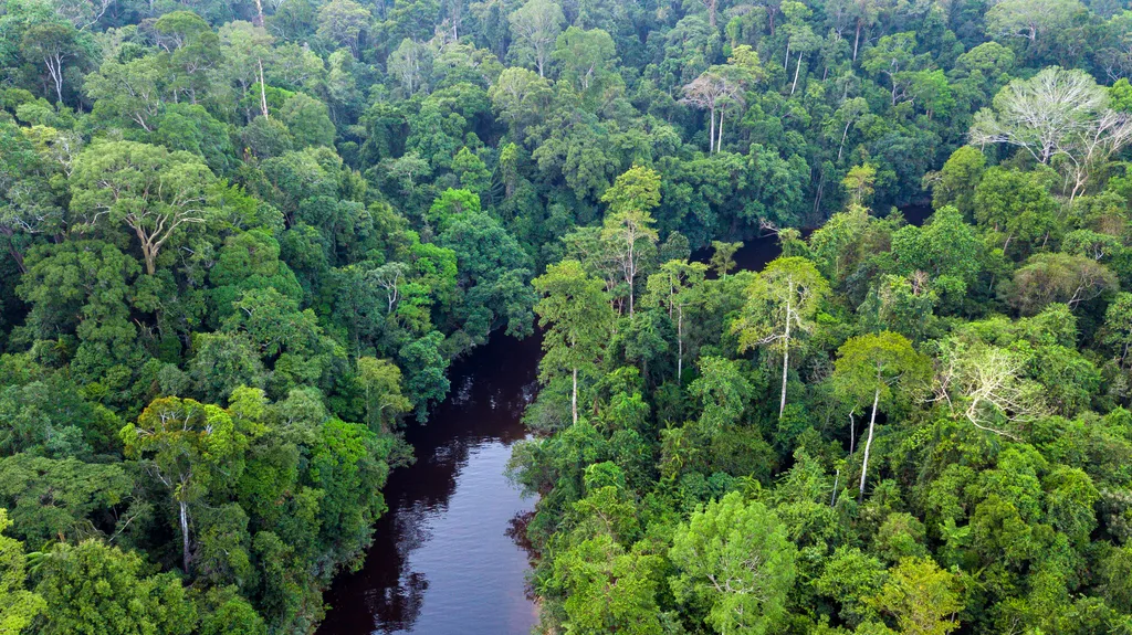 Taman Negara, nemzeti park, Malajzia-félsziget, Malajzia, Taman Negara összterülete 4343 km2, Lombhullató esőerdő, több mint 130 millió éves 