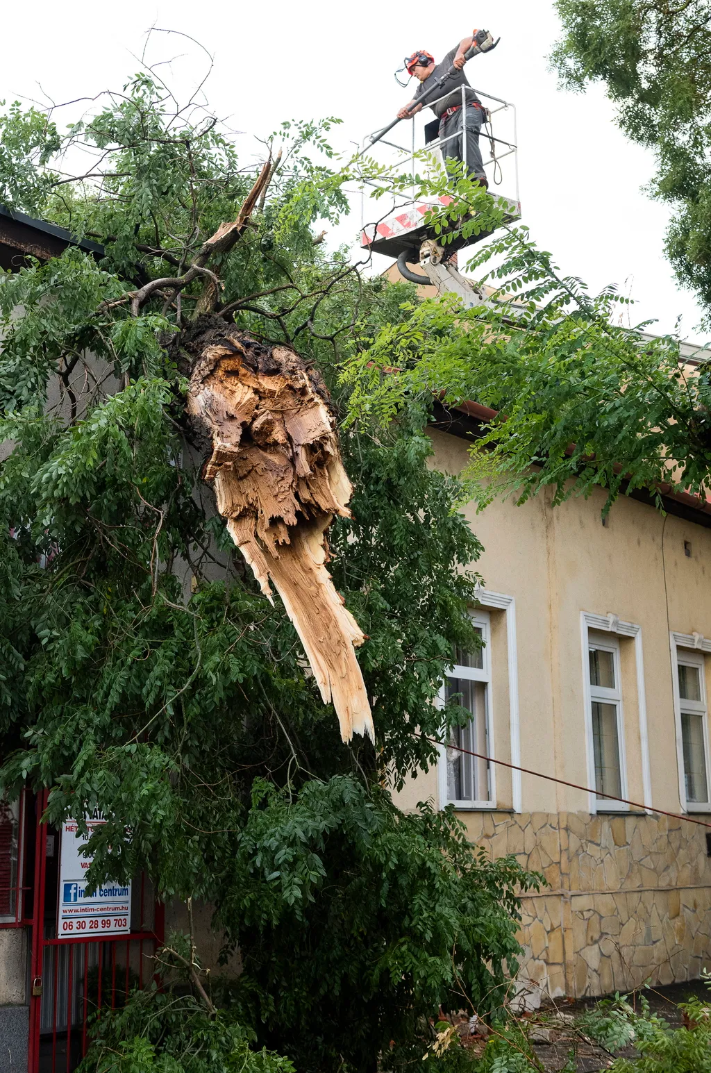 Nyíregyháza, 2021. augusztus 1.
Épületre borult fákat távolítanak el vihar után a Nyíregyházán, a Szent István utcában 2021. augusztus 1-jén.
MTI/Balázs Attila 