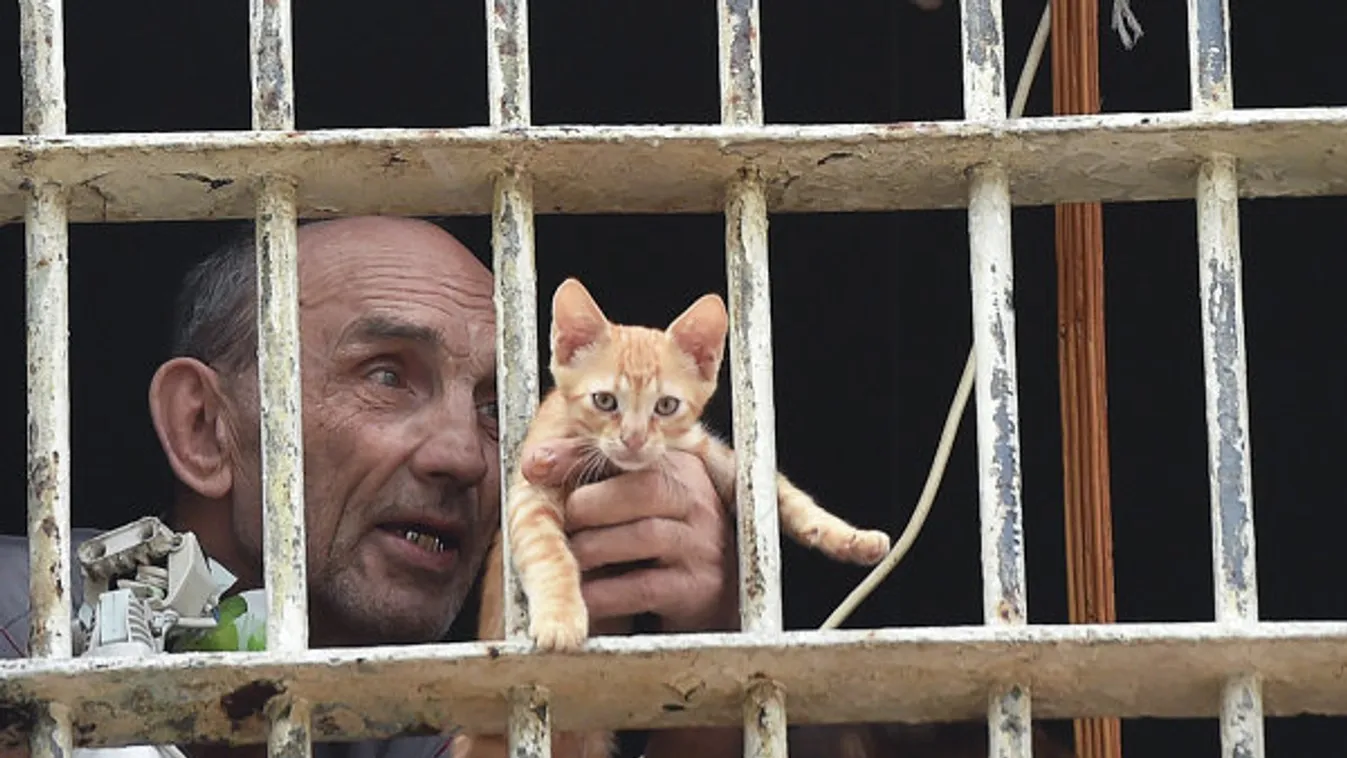 ukrajna, börtön, kisállat, macska 