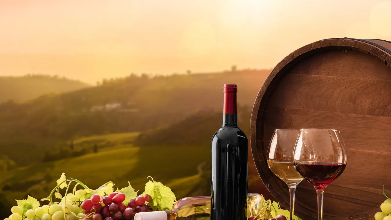 4 érdekesség Dionüszosz italáról, vagyis a borról

bor 