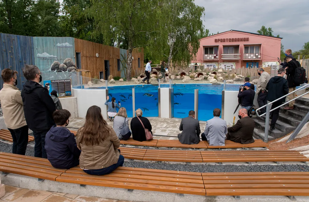 Modern városok - Állatbemutatókat és új gazdasági épületet adtak át a győri állatkertben - galéria 