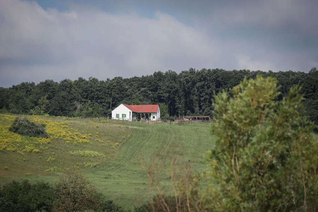 Farm VIP forgatás 2020 augusztus 19-én 