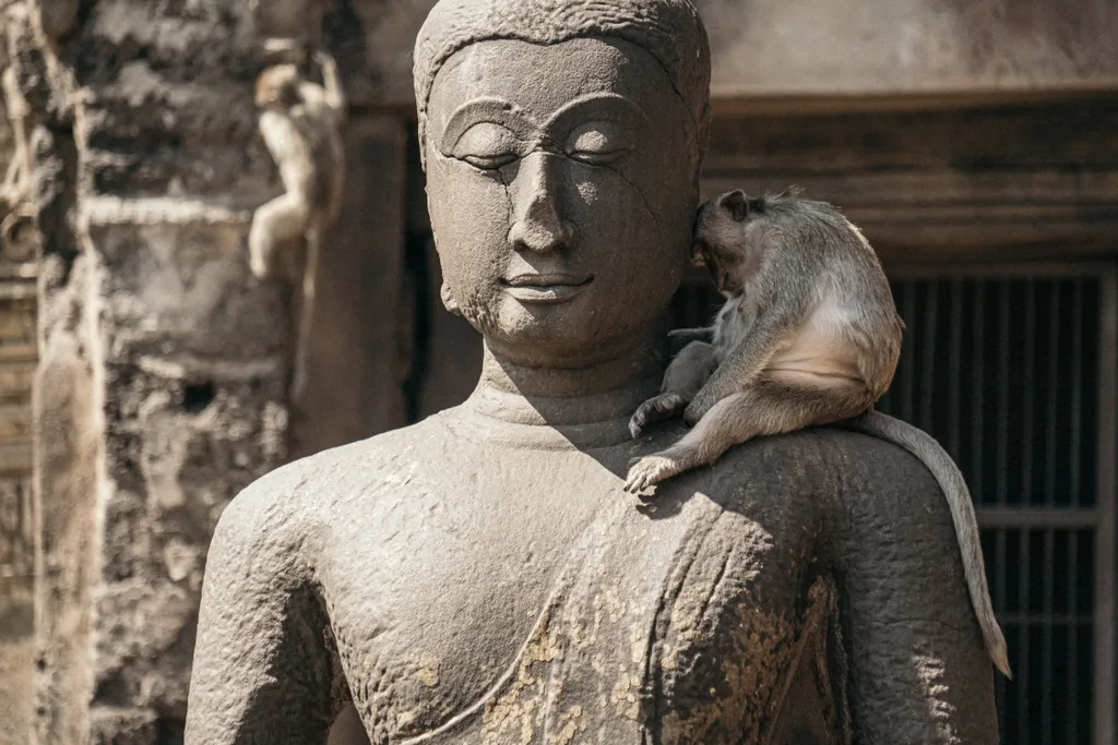 Lopburi Thaiföld makákó majom 