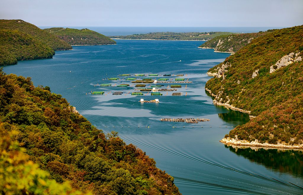 Lim-fjord, Lim-öböl, Horvátoszág, galéria, 2023 