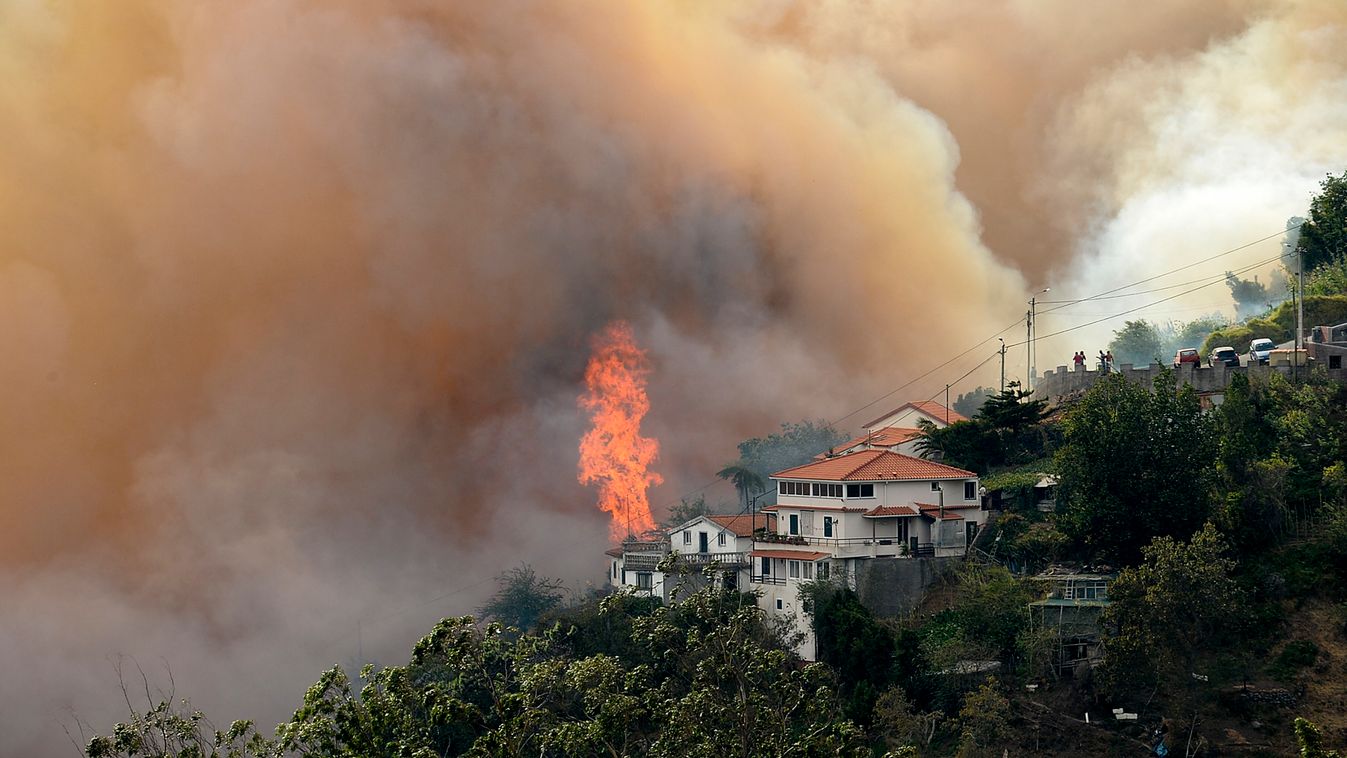erdőtűz, tűz, Madeira, Portugália 