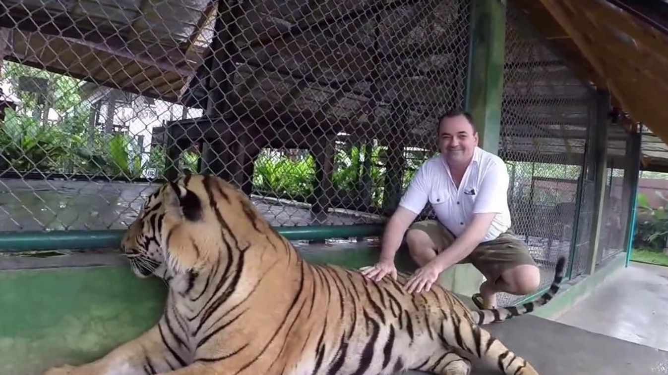 Tiger Kingdom, Phuket 