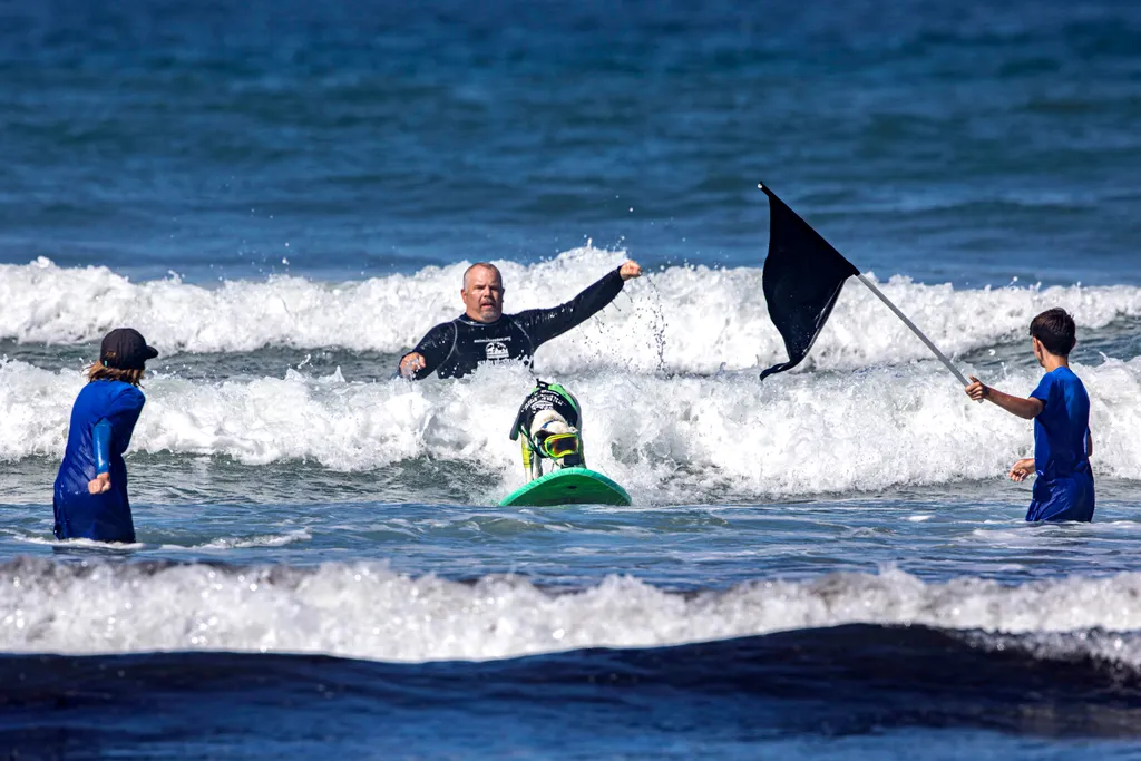 Szörföző kutyák gall  Helen Woodward Animal Center's 16th Annual Surf Dog Surf-a-Thon 