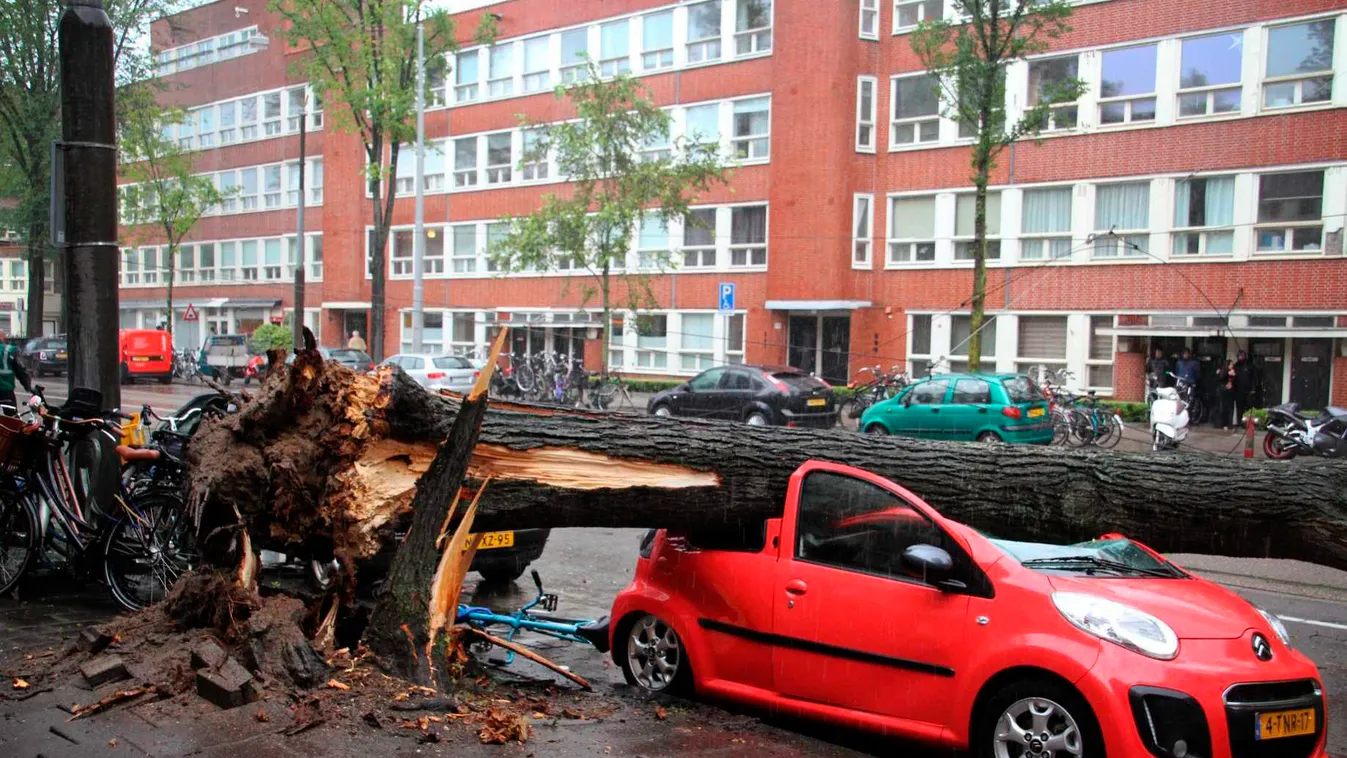 Amszterdam, 2015. július 25.
Autóra zuhant fa Amszterdamban 2015. július 25-én, miután vihar söpört végig Hollandián. Az óránkénti 120 kilométer/órás sebességet is elérő széllökések a legnagyobb júliusi vihart jelentik 1901 óta, amikor elkezdték mérni a s
