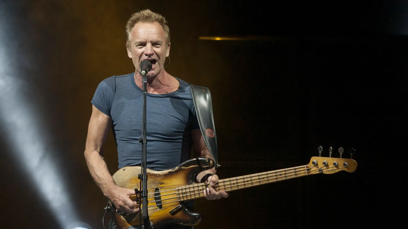 Sting, énekes, singer 