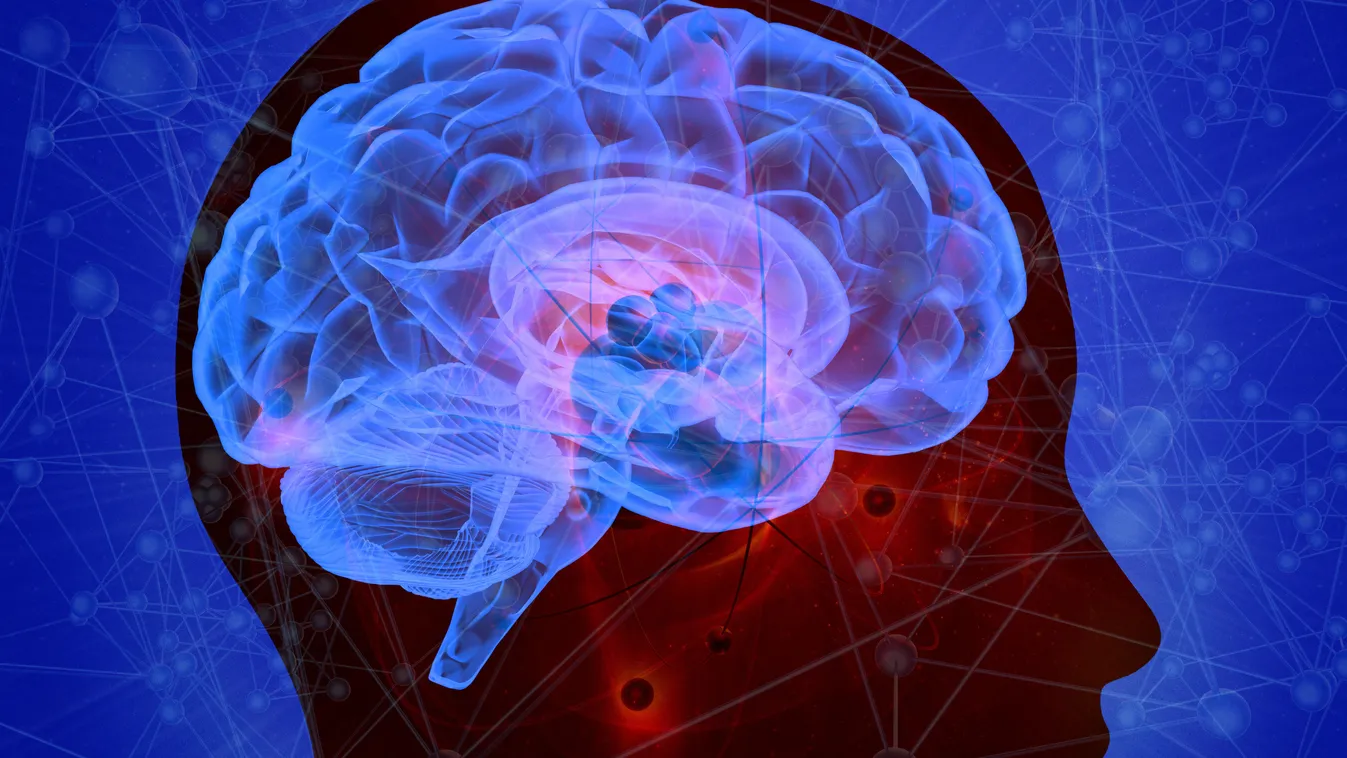 agy Brain atoms, illustration ARTWORK DIGITALLY GENERAT DIMENSIONAL THREE BIOLOGY BIOLOGICAL ANATOMY ANATOMICAL MEDICINE AND HEALTH HEALTHCARE MEDICINE HUMAN HEAD BLUE COLOUR CAST SIDE VIEW ATOMS ATOMIC NEUROLOGY NEUROLOGICAL BRAIN PURPLE 