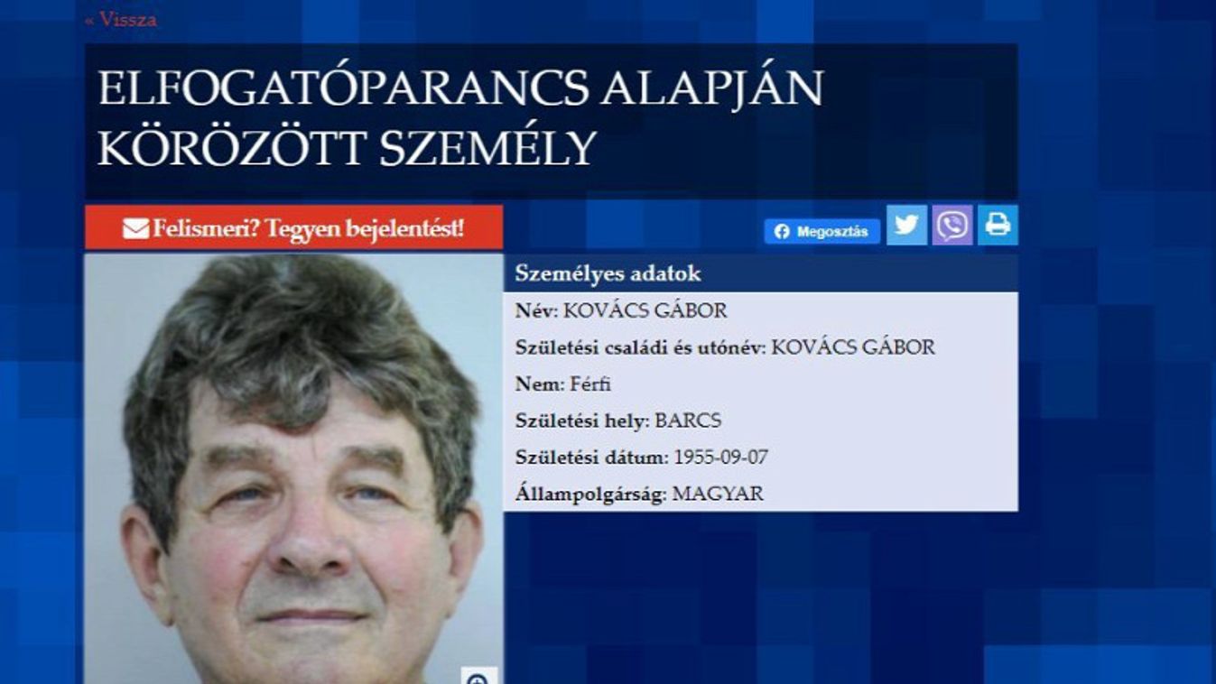 Kovács Gábor, pedofil, LMP, elfogás, pedofília, megrontás, kisfiú, rendőrség 