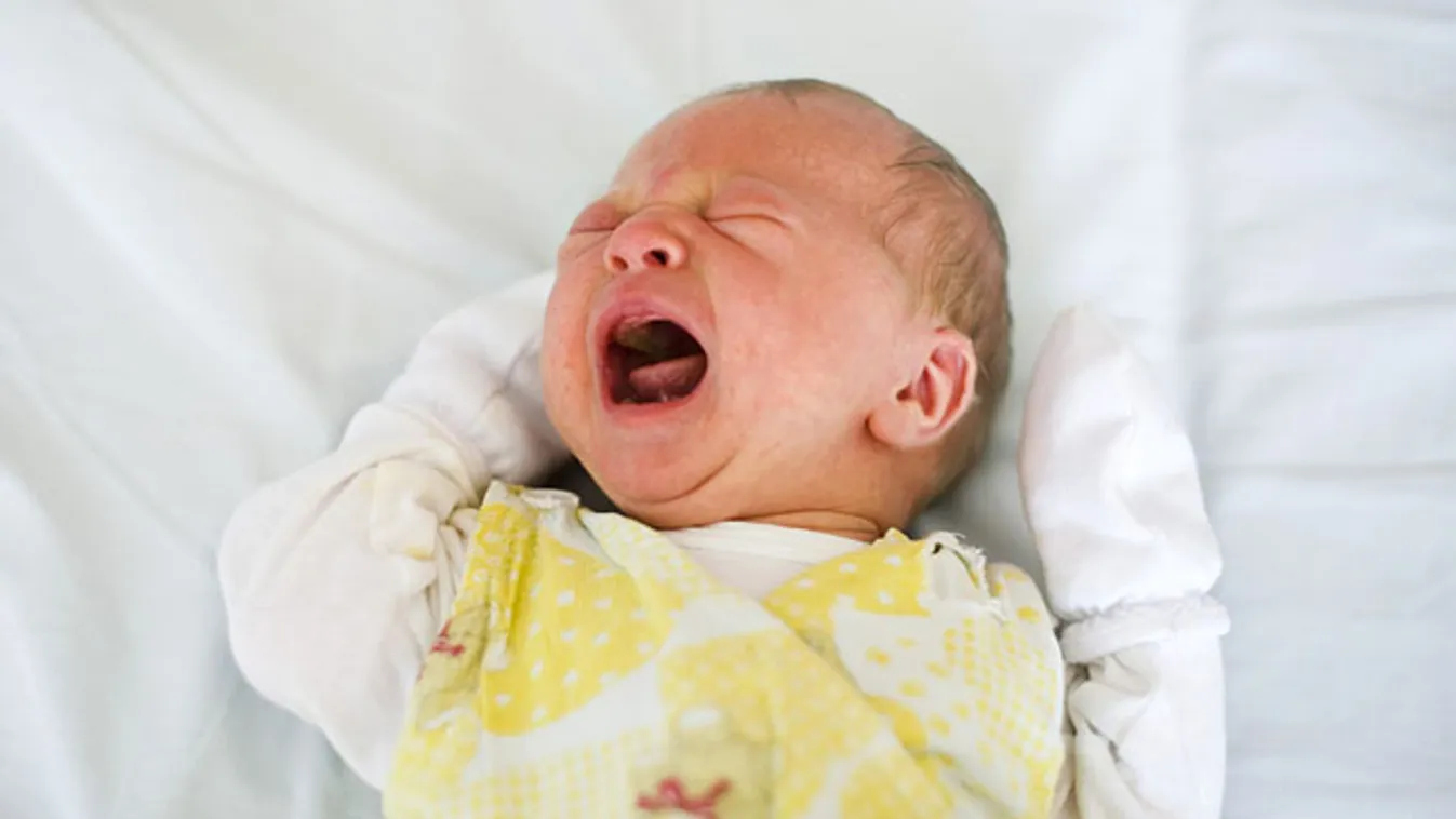 születések, Matolcsy György szerint nőtt a születések száma, gyermekvállalás, újszülött sír egy kórház szülészeti osztályán Nyíregyházán, 2011. október 31-én 