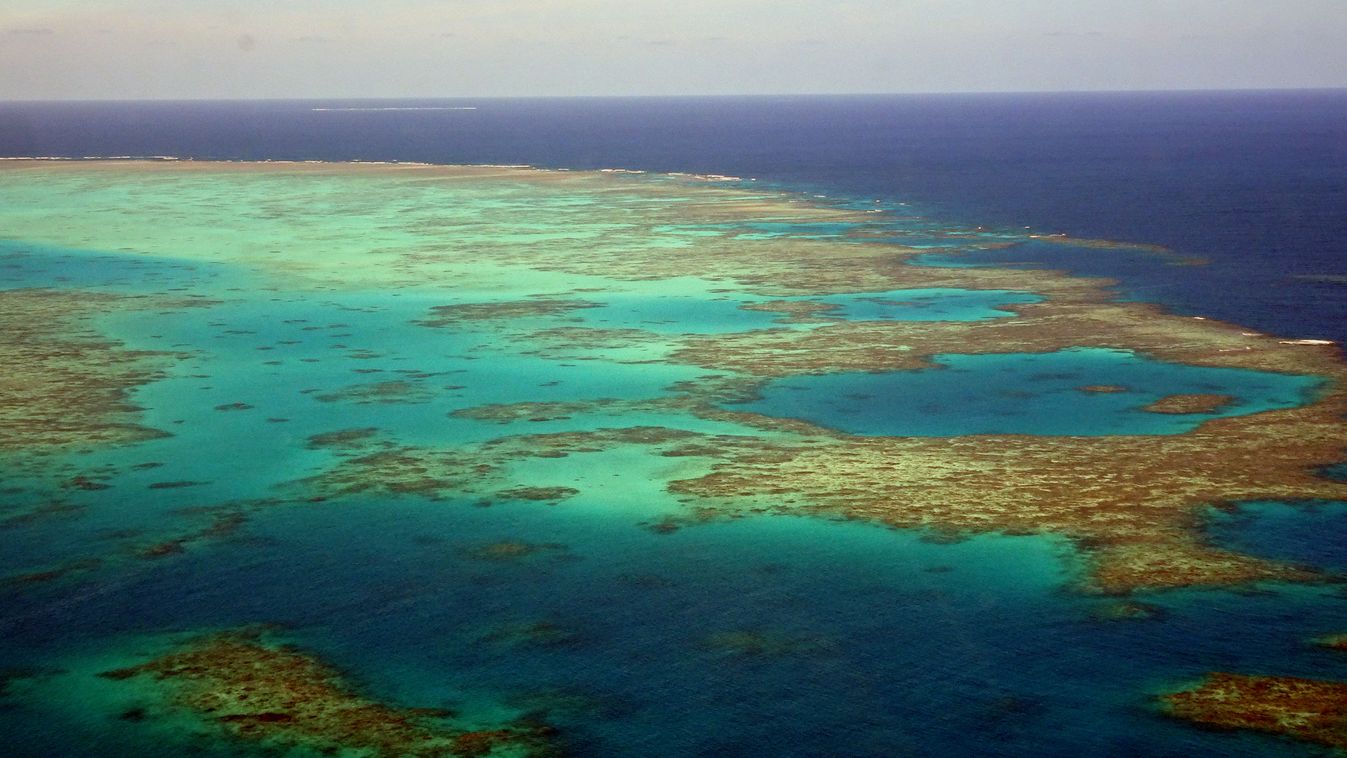 The Great Barrier Reef experiences a catastrophic die-off following marine heat wave, study shows Australia Australian Queensland Great Barrier Reef landscape scenery Coral Sea Horizontal 