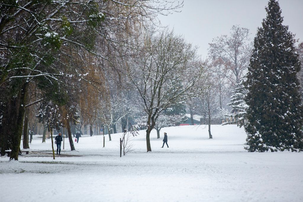 Zala megye, Zalaegerszeg, havazás, január 