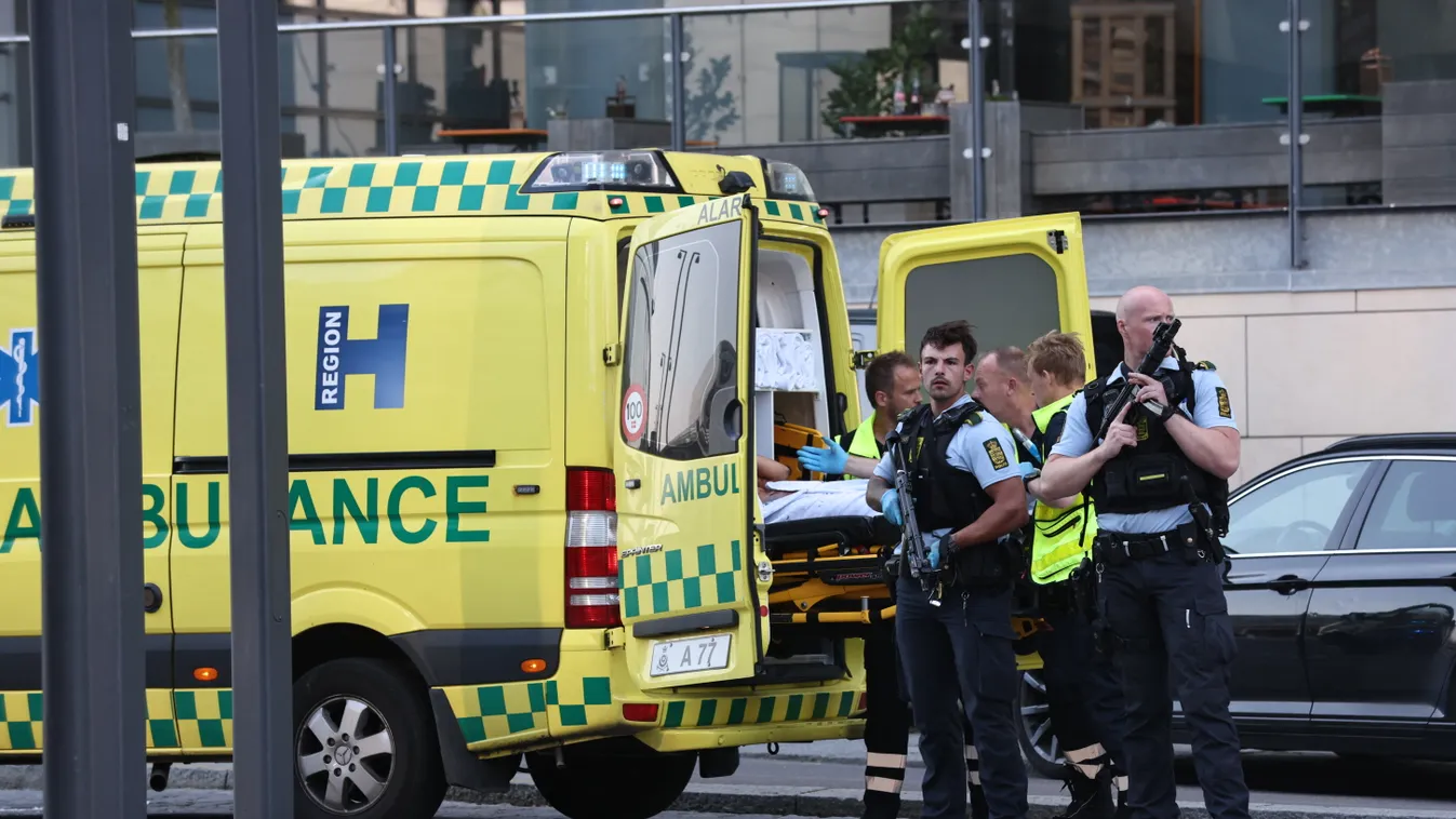 Incident in Danish shopping center Fields Horizontal 